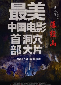 午夜一区二区在线观看